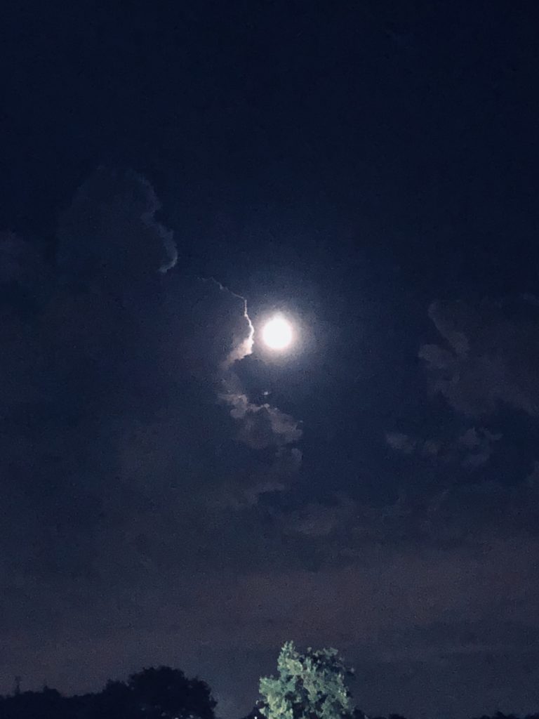 「顔を出した月」Photo by Yasuyo Watanabe,2018