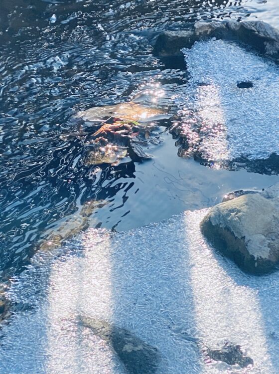 「凍る川と太陽光」Photo by Yasuyo Watanabe,埼玉県入間市,Jan.2023