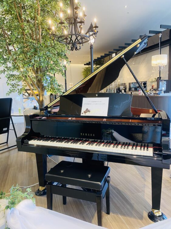 埼玉県入間市で自動演奏ピアノが聞ける「MOA cafe」